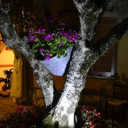 E Spunta La Luna Campodimele