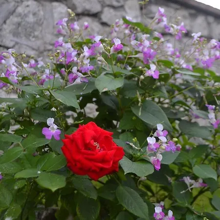 埃斯彭塔拉露娜酒店 Campodimele